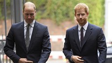 Princ William a princ Harry (Londýn, 5. září 2017)