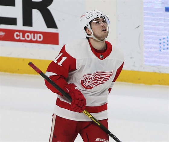 Filip Zadina