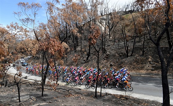 Cyklisté projíždějí během druhé etapy Tour Down Under lesem zničeným požáry v...