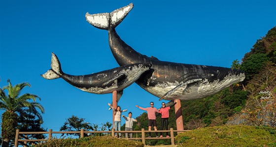 Taiji, jedno z center velrybáské tradice, je pro nás kontroverzním místem, ale...