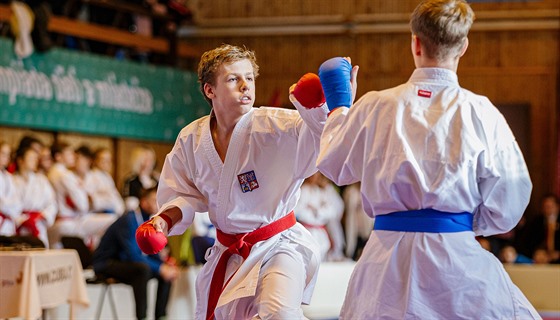 Momentka z karate na Olympiádě dětí a mládeže