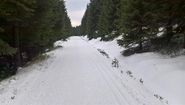 Na vech tratích závodu v souasné dob leí sníh.