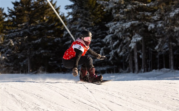 Biatlonisté a snowboardistka Volopichová vybojovali na olympiádě mládeže bronz