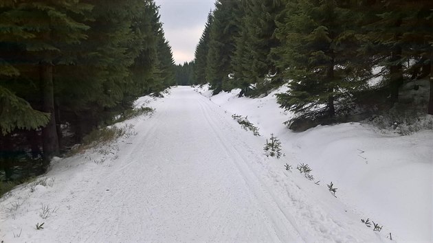 Na vech tratích závodu v souasné dob leí sníh.