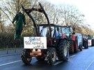 Zahájení zemědělského veletrhu v Berlíně provázely protesty farmářů i...