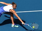 Karolína Plíšková se natahuje po míči v prvním kole Australian Open.
