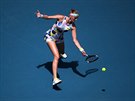 Petra Kvitová odehrává balon bhem tvrtfinále Australian Open.