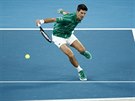 Srb Novak Djokovi bhem tvrtfinále Australian Open.