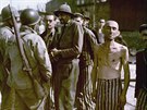 Skupina přeživších vězňů z osvobozeného koncentračního tábora Buchenwald...