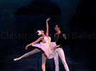 Classical Russian Ballet - Labutí jezero
