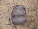 V pedpol lomu Vrany u Mostu archeologov objevili i torza keramickch ndob.