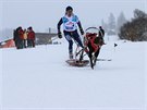 esk musherka Martina tpnkov je dritelkou nkolika titul Mistra svta,...