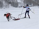 Loni zskala musherka Martina tpnkov z Jirkova se svmi psy dva svtov...