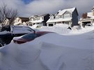 Nánosy sněhu, který hustě napadl na východním pobřeží Kanady. (18. ledna 2020)