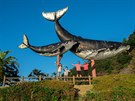 Taiji, jedno z center velrybářské tradice, je pro nás kontroverzním místem, ale...