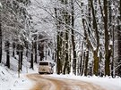 V Orlických horách napadl nový sníh. Na snímku je silnice z Detného na...