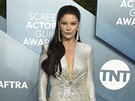 Catherine Zeta-Jonesová na SAG Awards (Los Angeles, 19. ledna 2020)