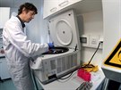 Vdci z berlínského virologického institutu zkoumají koronavirus, který se...