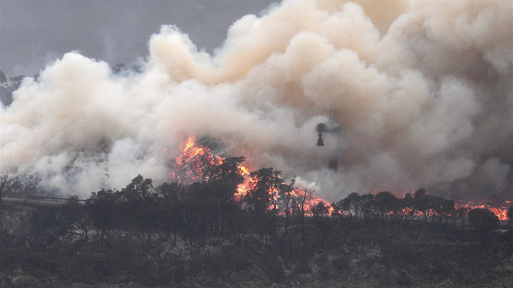 poár v Austrálii - ilustraní foto