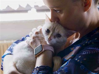 Pepina je kočka s neurologickou poruchou, kterou navíc stresuje spousta cizích...