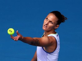 Karolna Plkov si nahazuje mek na podn v prvnm kole Australian Open.