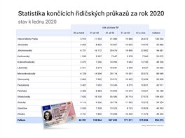 Statistika koncch idiskch prkaz v roce 2020