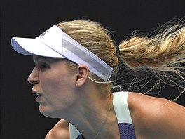 Dnsk tenistka Caroline Wozniack na Australian Open.