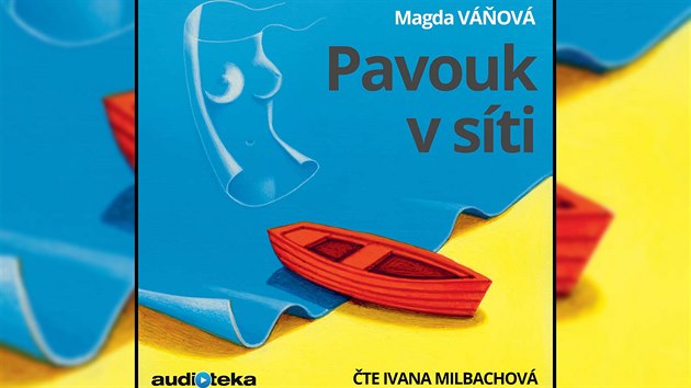 Pavouk v sti