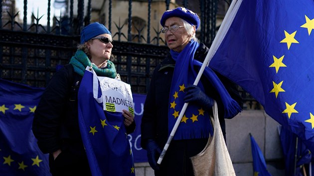 Protestujc proti Brexitu ped budovou parlamentu v Londn. (15. ledna 2020)
