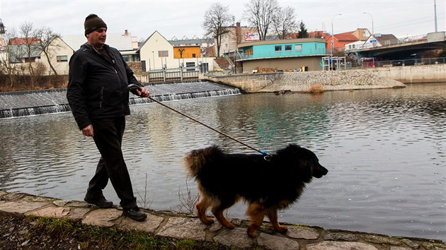 Luboš Bodlák z Plzně se do dogtrekkingu zamiloval před dvanácti let. Od té doby absolvoval sto soutěží na sto kilometrů. Parťákem je mu chodský pes. (16. 1. 2020)