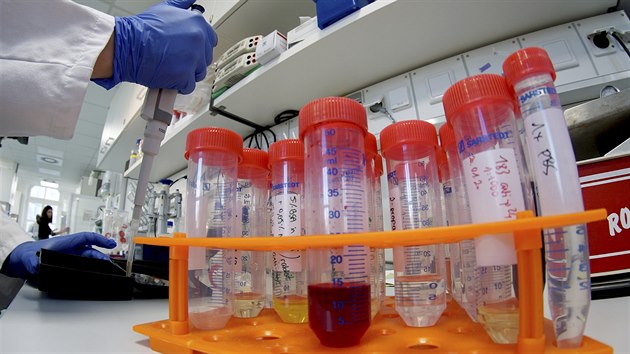 Vědci z berlínského vriologického institutu zkoumají koronavirus, který se poprvé objevil v čínském městě Wu-chan. (21. ledna 2020)