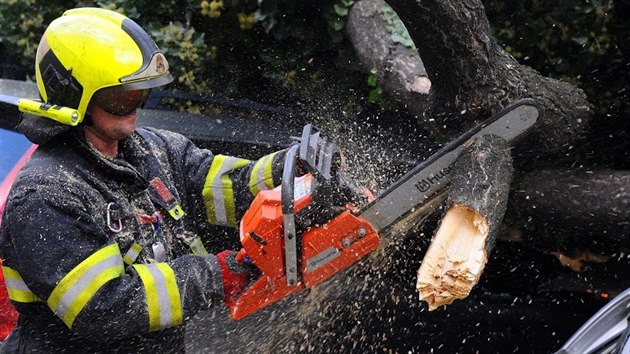 Pražští hasiči zasahovali u několika desítek událostí, které souvisely se silným větrem. Jednalo se o popadané stromy a uvolněné plechy na střechách domů. (28. ledna 2020)