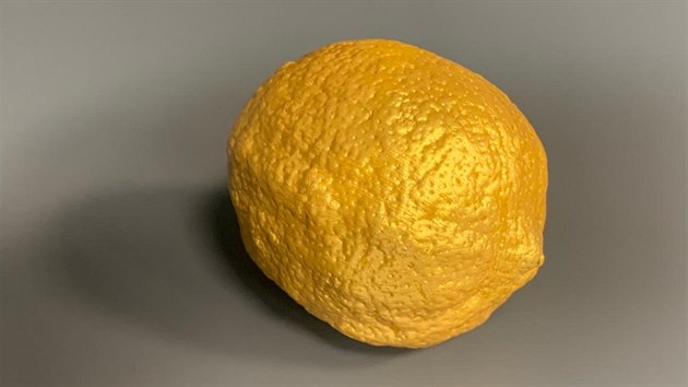 Anticena Zlat citron, kterou dostal modertor Lubo Xaver Vesel od eskho filmovho a televiznho svazu. (29. ledna 2020)