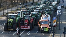Zahájení zemědělského veletrhu v Berlíně provázely protesty farmářů i...