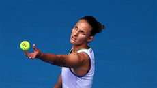 Karolína Plíková si nahazuje míek na podání v prvním kole Australian Open.