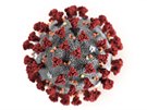 Ilustrace koronaviru 2019-nCoV od amerického Centra pro kontrolu a prevenci...