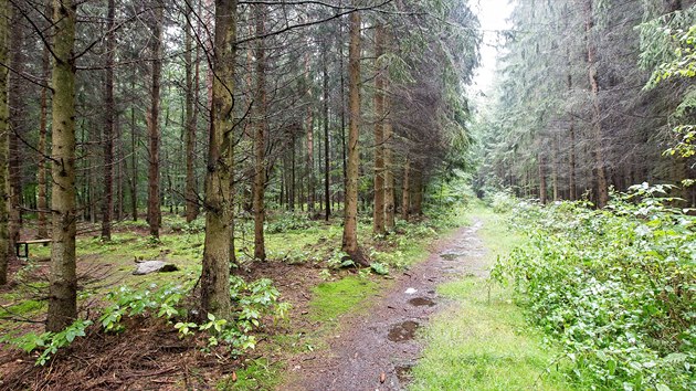 Braniovsk les byl svdkem tko vysvtlitelnch udlost.