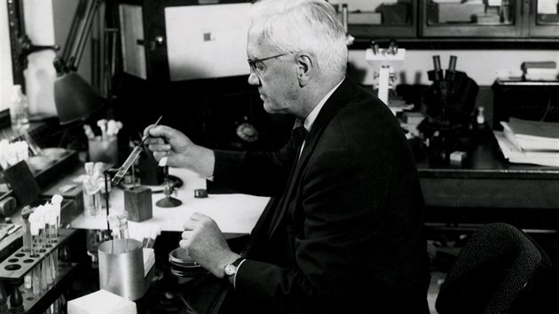 Fleming ve své laboratoři v roce 1952