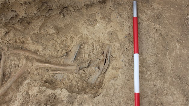 U nálezu kosterních pozůstatků vojáka v Dobroslavicích se našly náboje, ale i boty. „Je zázrak, že se takto zachovaly,“ komentoval archeolog Jiří Juchelka.