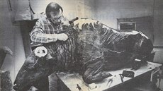 Taxidermista Eirik Granqvist pi práci na desítky tisíc let staré mumii bizona.
