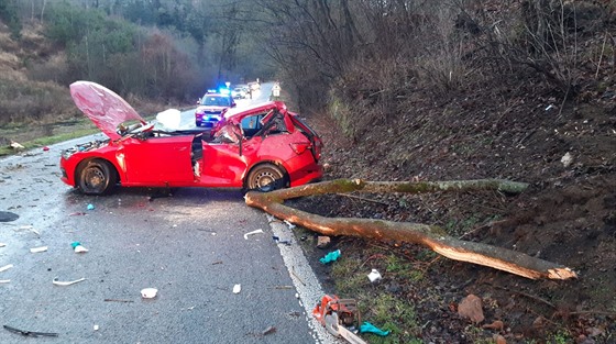 Na Mladoboleslavsku spadl strom na jedoucí auto, jeden lovk zemel. (5.2.2020)