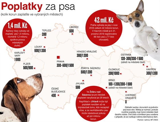 Poplatky za psy budou dražší - iDNES.cz