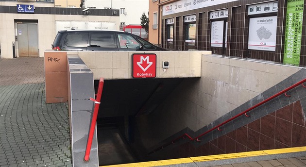 Chráněná kavka už dva týdny poletuje v metru, nedaří se ji chytit