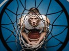 Vítz kategorie Portrét - Michal Sváek: basketbalista Pavel Pumprla
