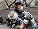 Muž v roušce nese v čínském Pekingu svého psa. (1. února 2020)