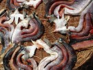 Naporcované maso na pekingském trhu. ínská kuchyn nabízí bezkonkurenní...