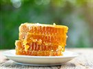Medový plást plný sladkého a léčivého medu