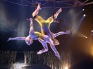 Nové pedstavení svtoznámého souboru Cirque du Soleil, Totem