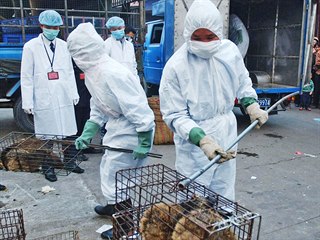Čína v rámci zamezení šíření koronaviru přistoupila k zákazu obchodu s volně...