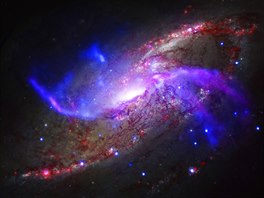 GALAXIE. Snímek z NASA zachycuje galaxii NGC 4258. Jedná se o spirální galaxii...